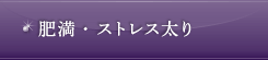 肥満・ストレス太り